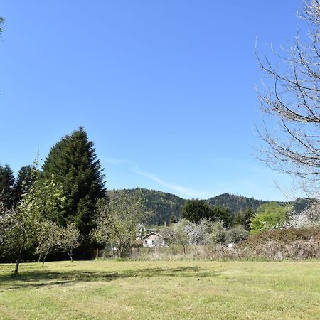 Spacious Holiday Home With Sauna In Celles Sur Plaine Eguisheim Dış mekan fotoğraf