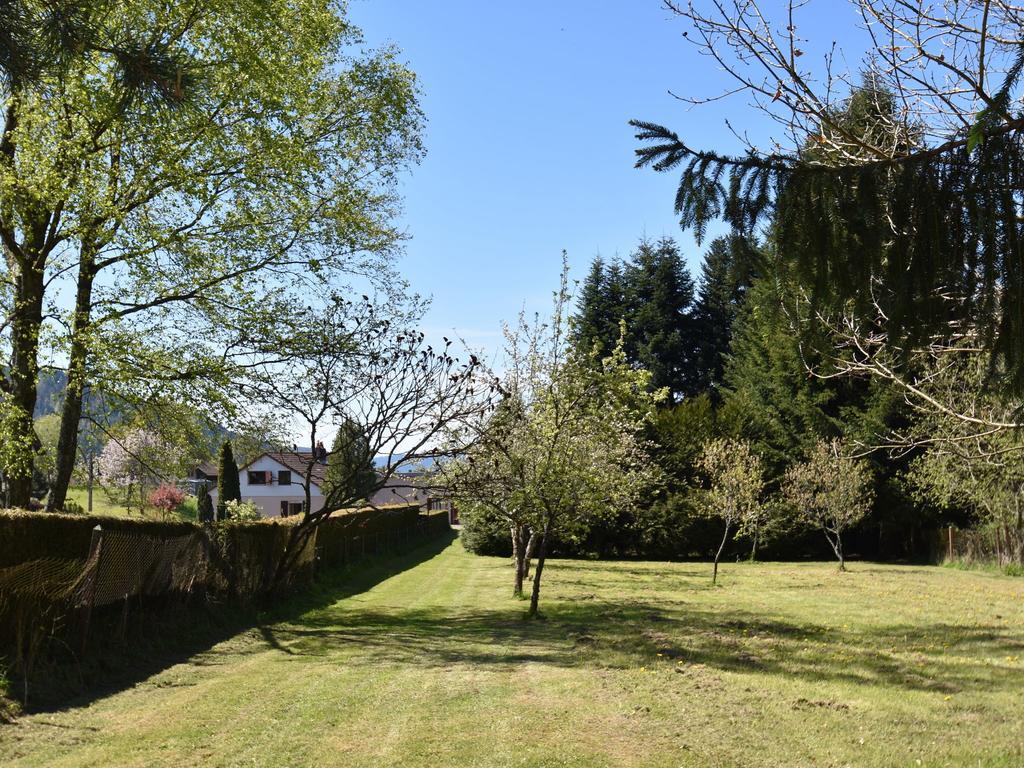 Spacious Holiday Home With Sauna In Celles Sur Plaine Eguisheim Dış mekan fotoğraf