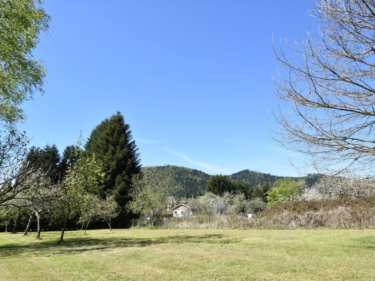 Spacious Holiday Home With Sauna In Celles Sur Plaine Eguisheim Dış mekan fotoğraf